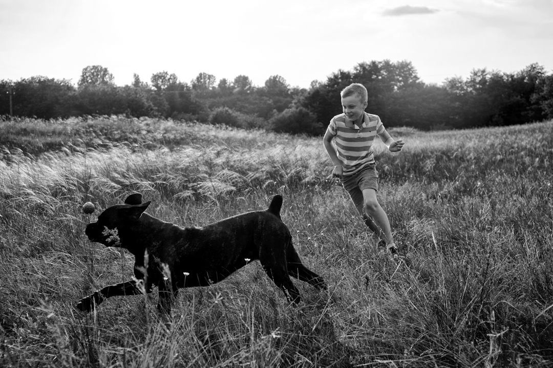 kisfiú, kutya, mezőn kergetőznek, gyerekfotó, családfotó, szabadtéri fotózás